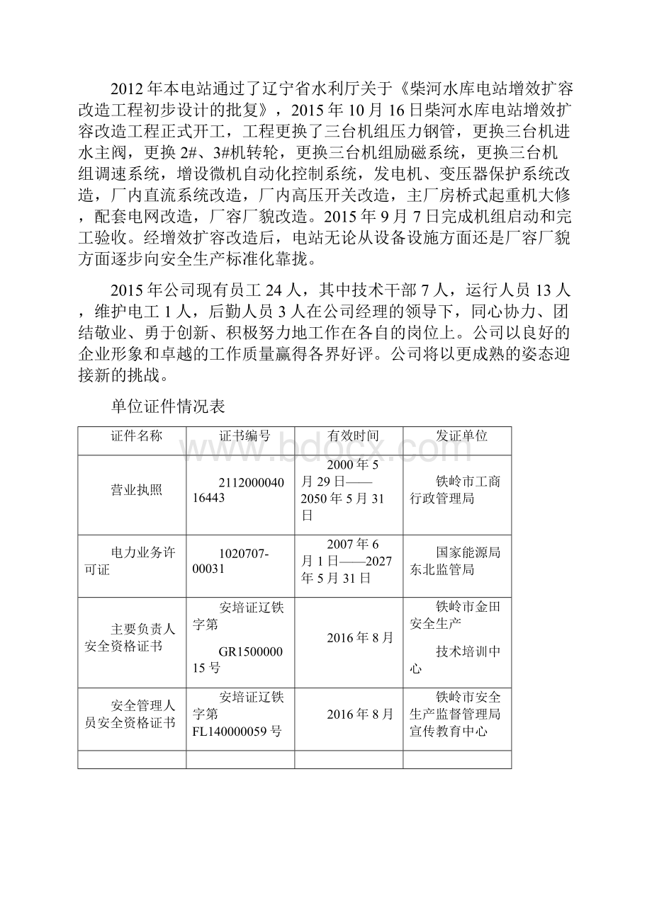 电站安全生产标准化工作总结.docx_第2页