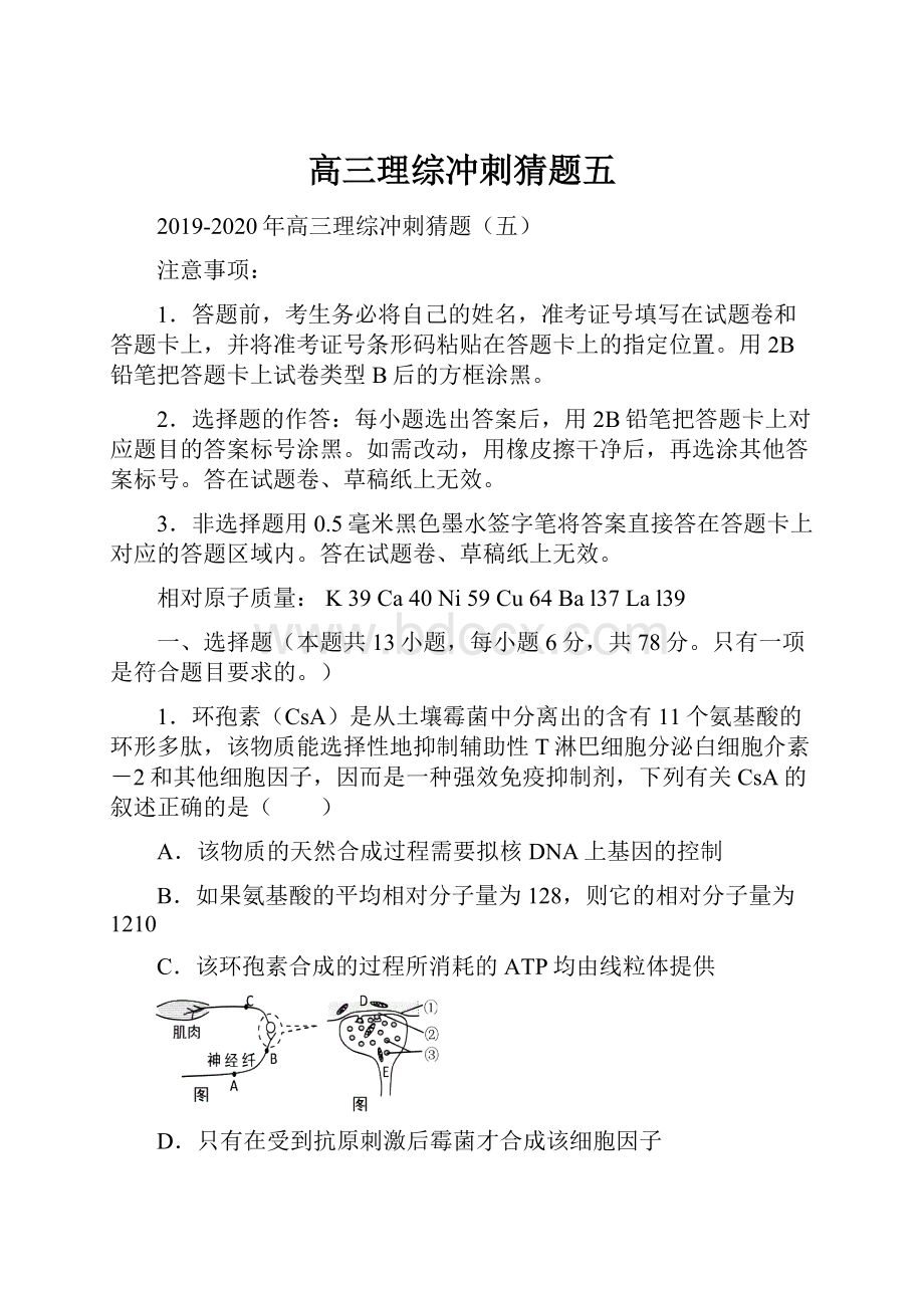 高三理综冲刺猜题五.docx