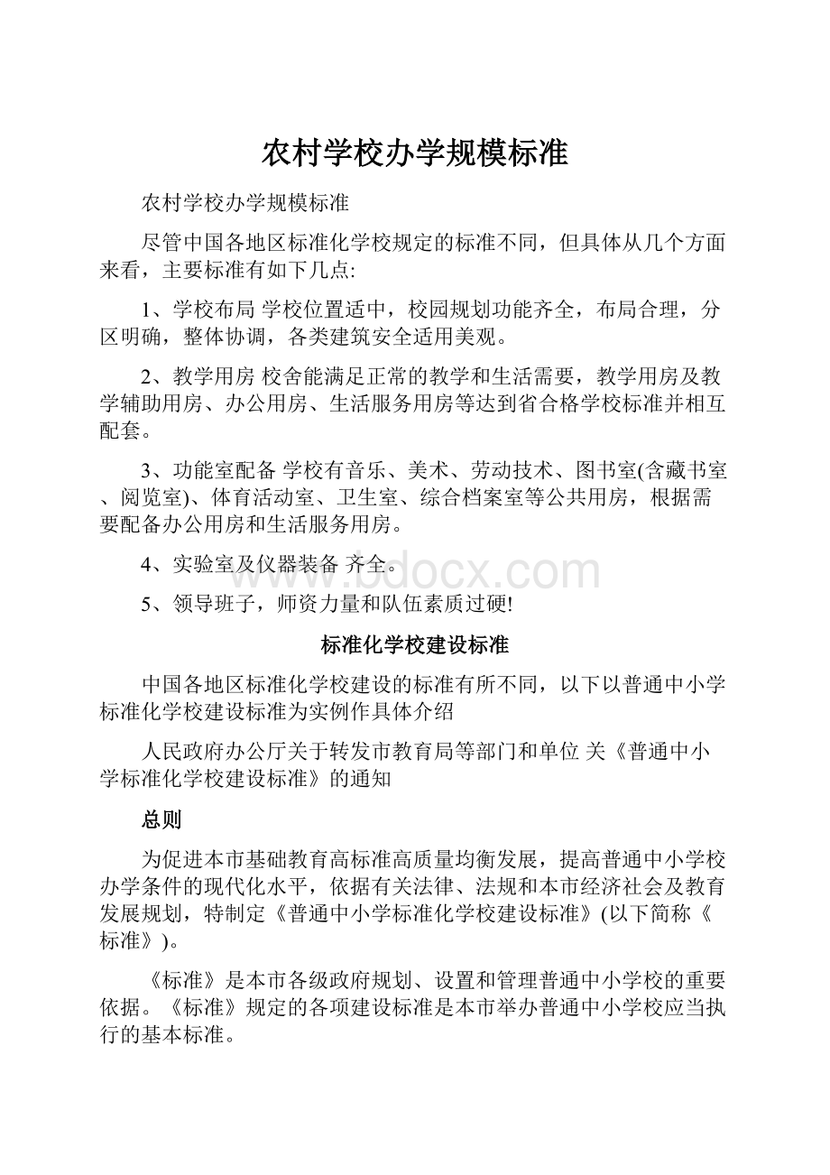 农村学校办学规模标准文档格式.docx