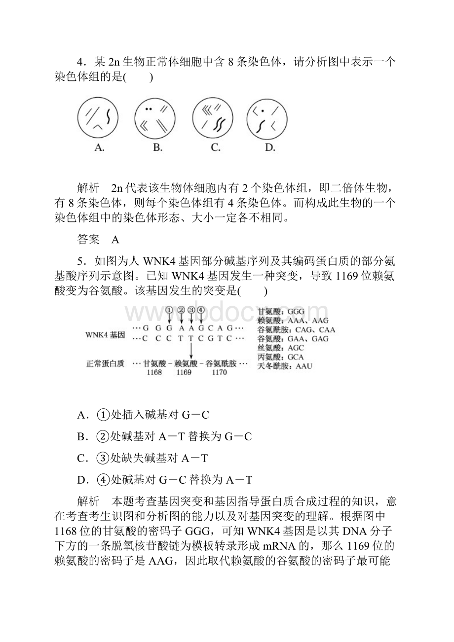 第5章 基因突变及其他变异 单元测试人教版必修2.docx_第3页