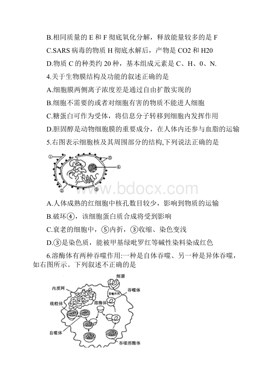 精选河南省洛阳市学年高三上学期期中考试生物试题有参考答案.docx_第2页