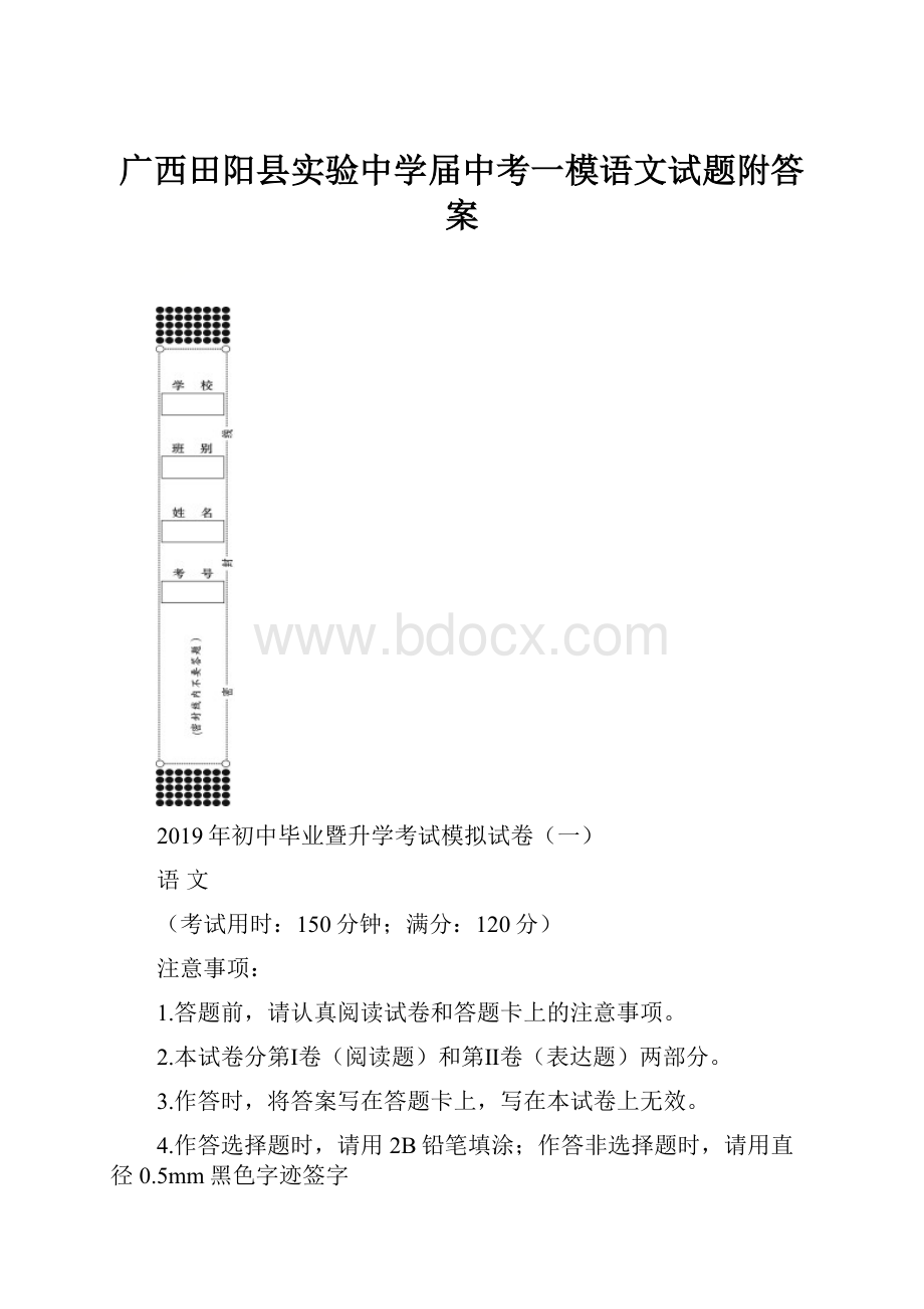 广西田阳县实验中学届中考一模语文试题附答案.docx_第1页