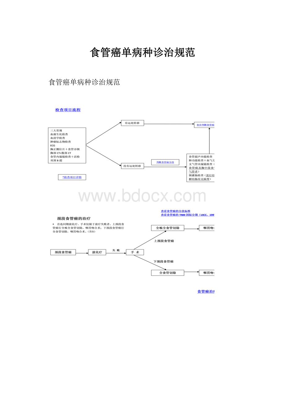 食管癌单病种诊治规范Word格式.docx