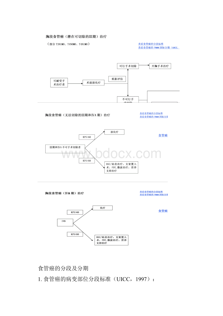 食管癌单病种诊治规范.docx_第3页