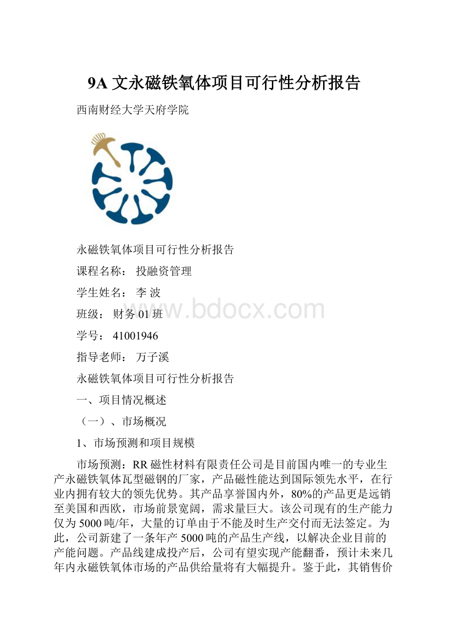 9A文永磁铁氧体项目可行性分析报告.docx_第1页