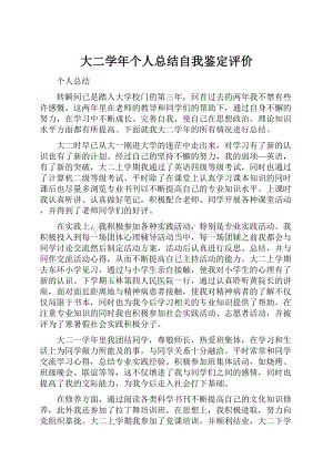 大二学年个人总结自我鉴定评价Word文件下载.docx