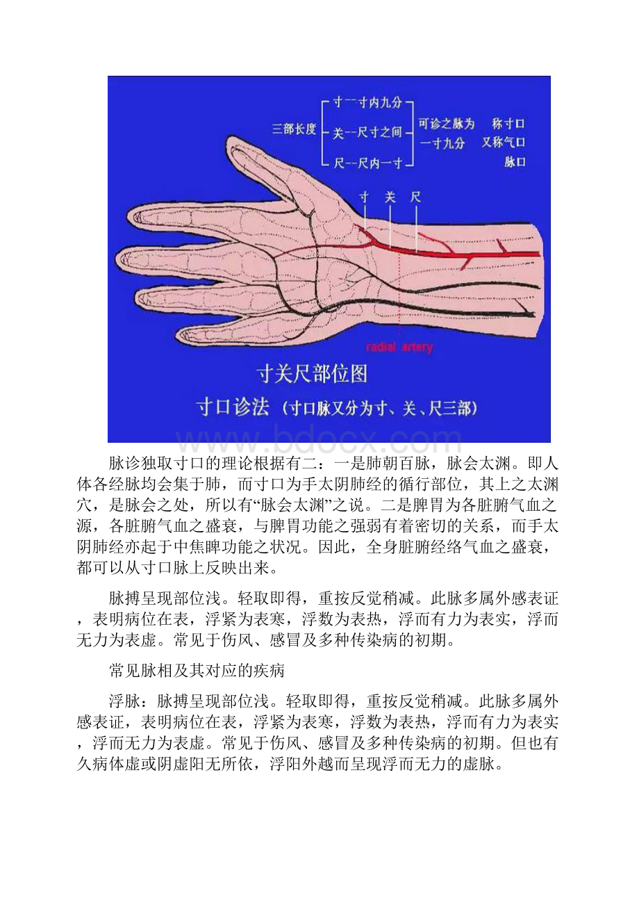 老中医号脉大法.docx_第3页