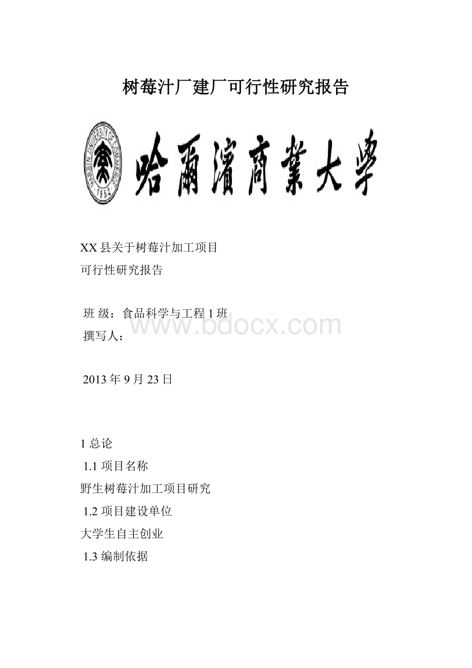 树莓汁厂建厂可行性研究报告.docx