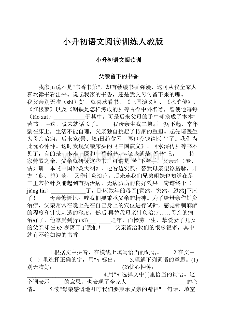 小升初语文阅读训练人教版Word文档下载推荐.docx