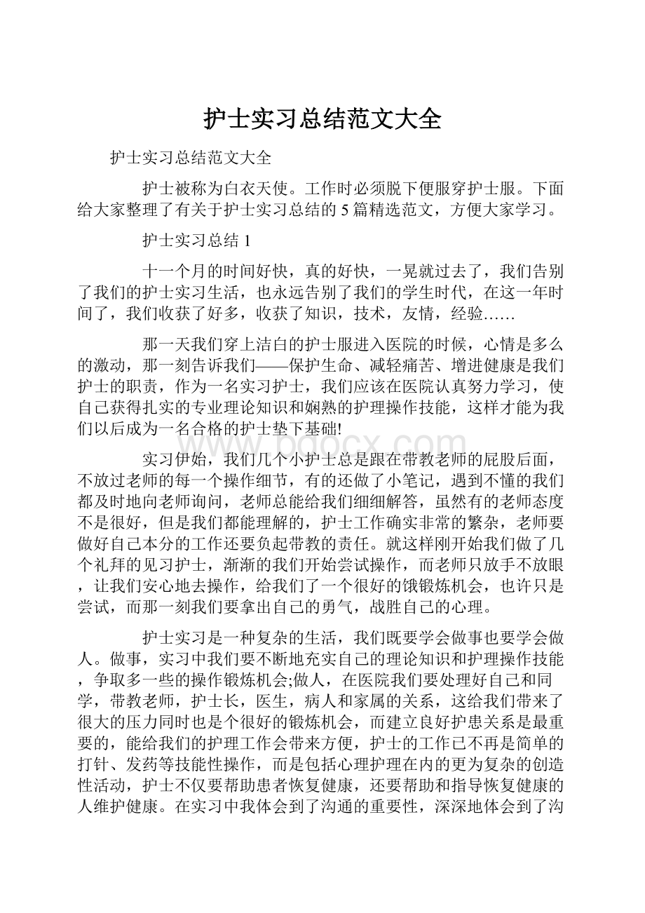 护士实习总结范文大全.docx