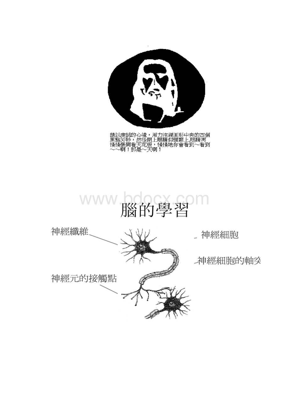 思维概念形成与问题解决简要汇总.docx_第2页