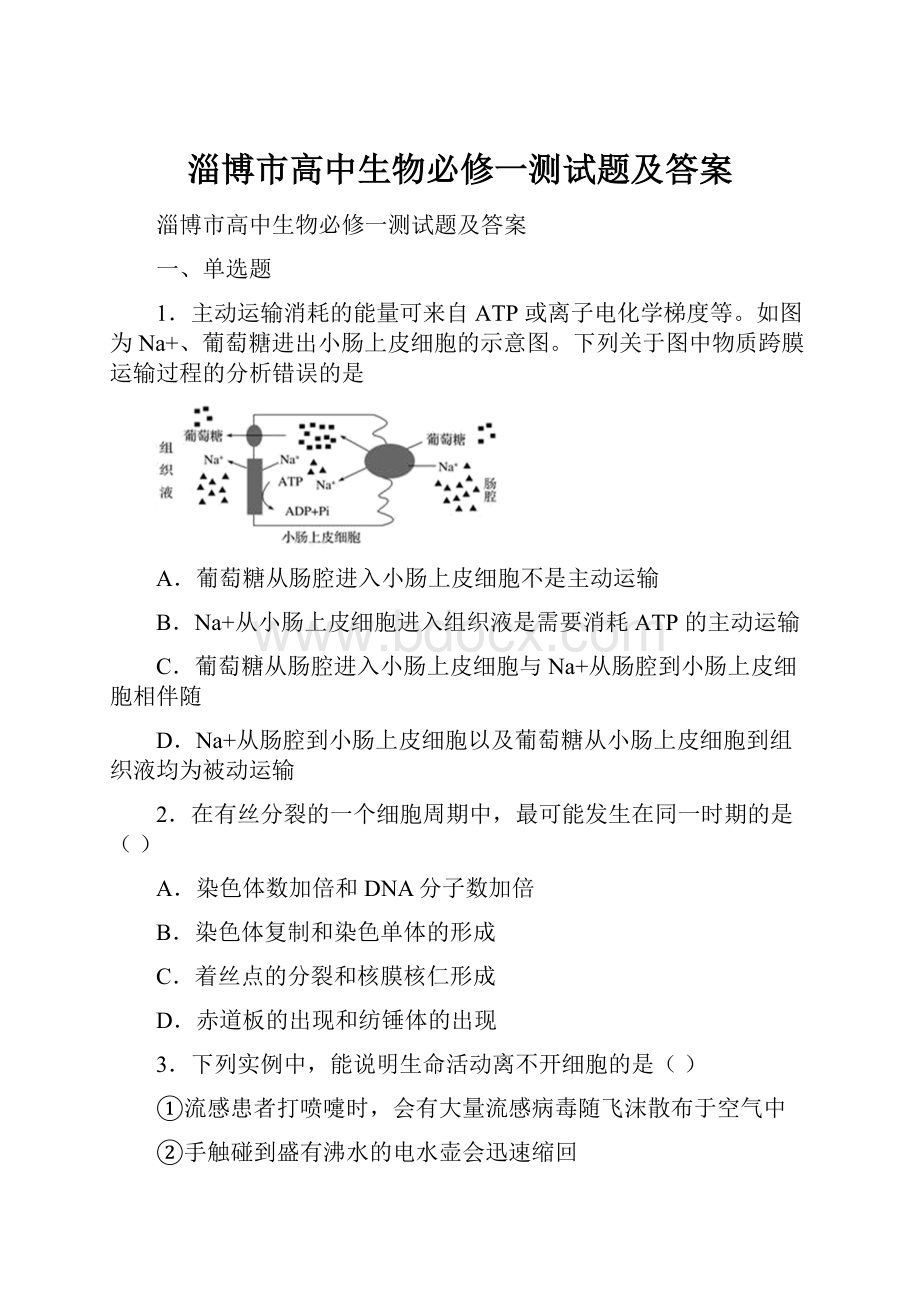 淄博市高中生物必修一测试题及答案.docx_第1页