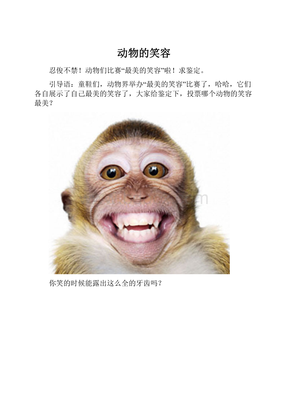 动物的笑容Word文件下载.docx_第1页