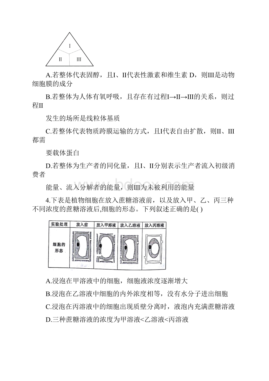 江西省红色七校届高三第二次联考理科综合试题.docx_第2页