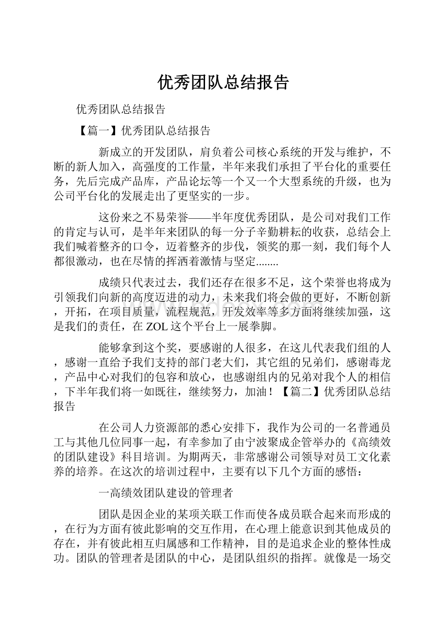 优秀团队总结报告Word文档格式.docx_第1页