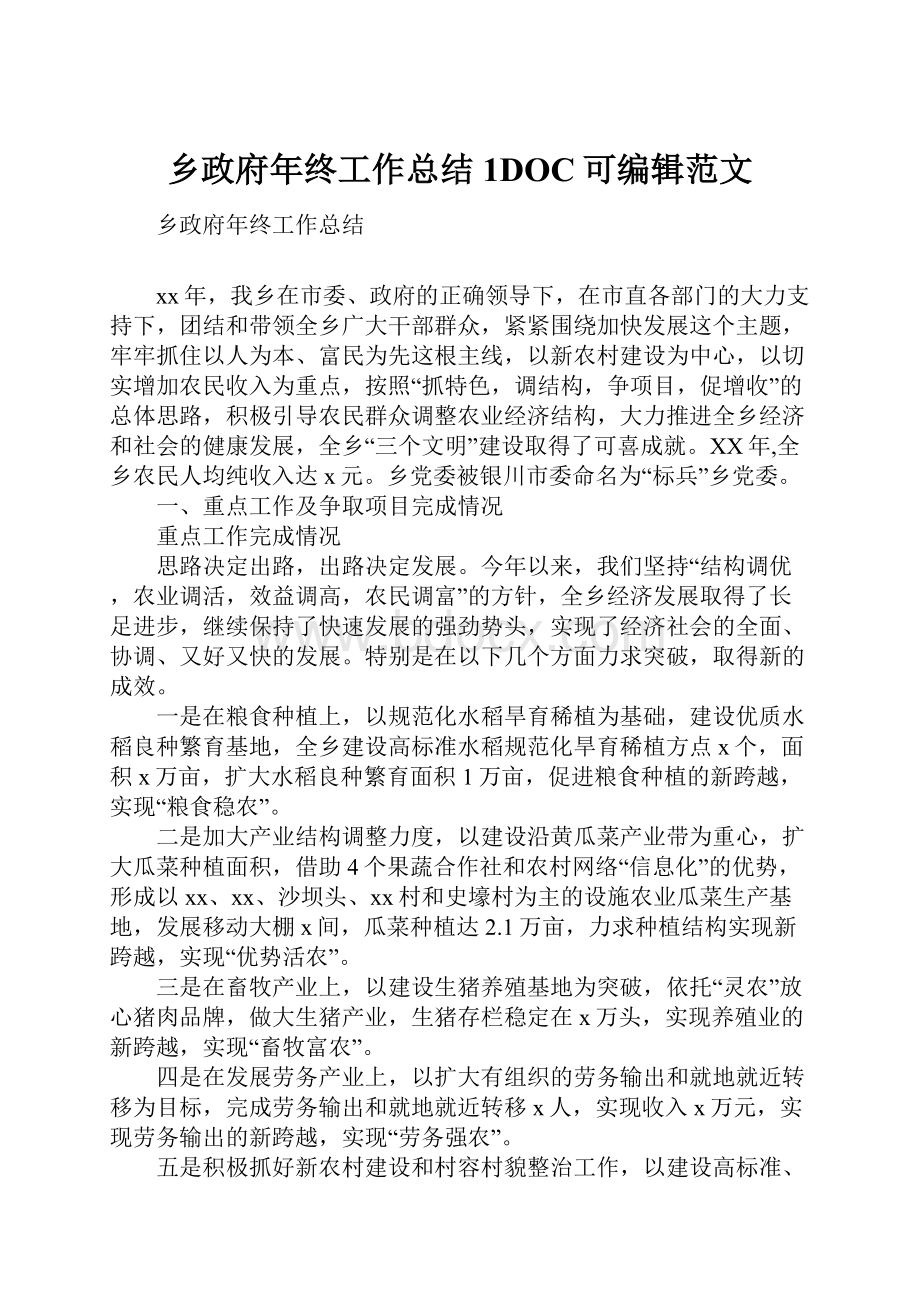 乡政府年终工作总结1DOC可编辑范文.docx