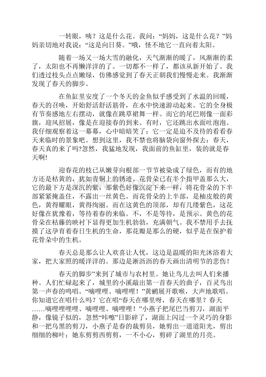 春天的脚步1Word文档下载推荐.docx_第2页