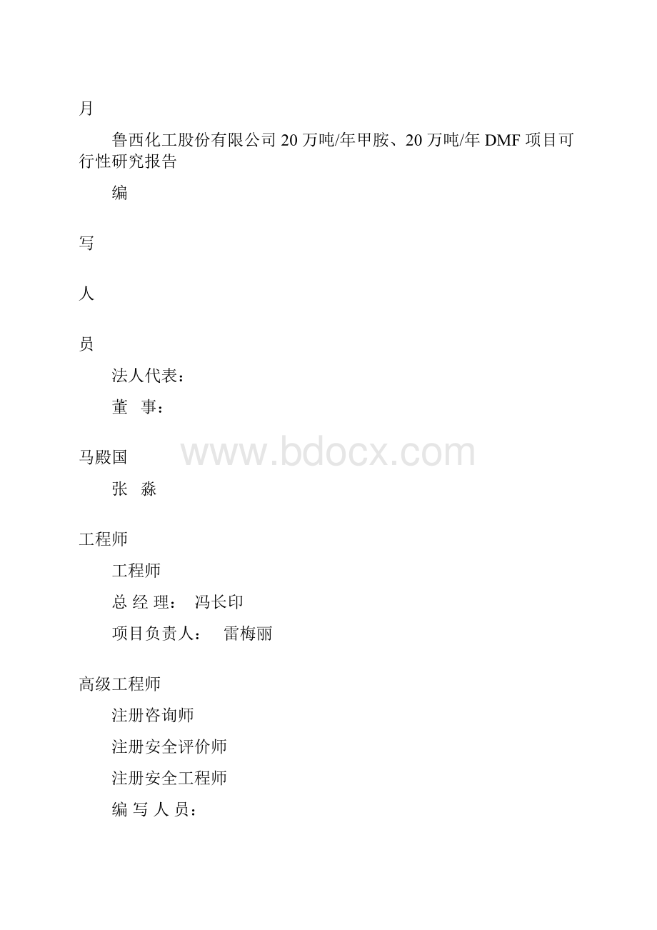 最新20万吨甲胺20 万吨DMF 项目可研报告.docx_第2页