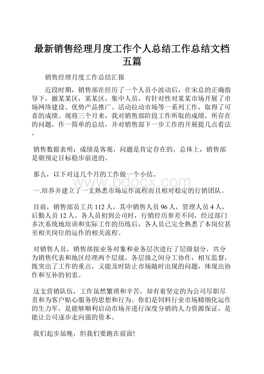 最新销售经理月度工作个人总结工作总结文档五篇.docx_第1页