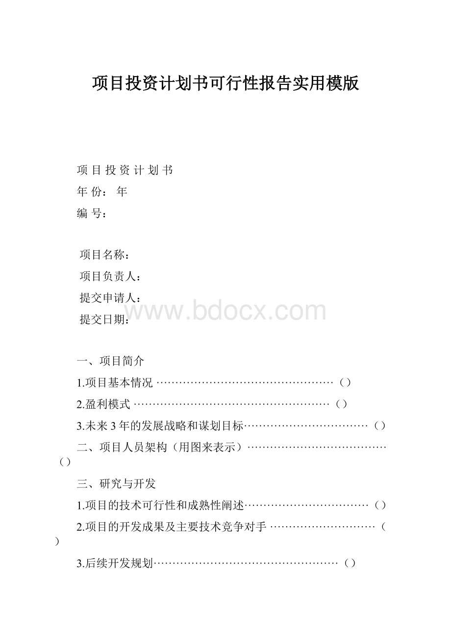 项目投资计划书可行性报告实用模版Word格式文档下载.docx