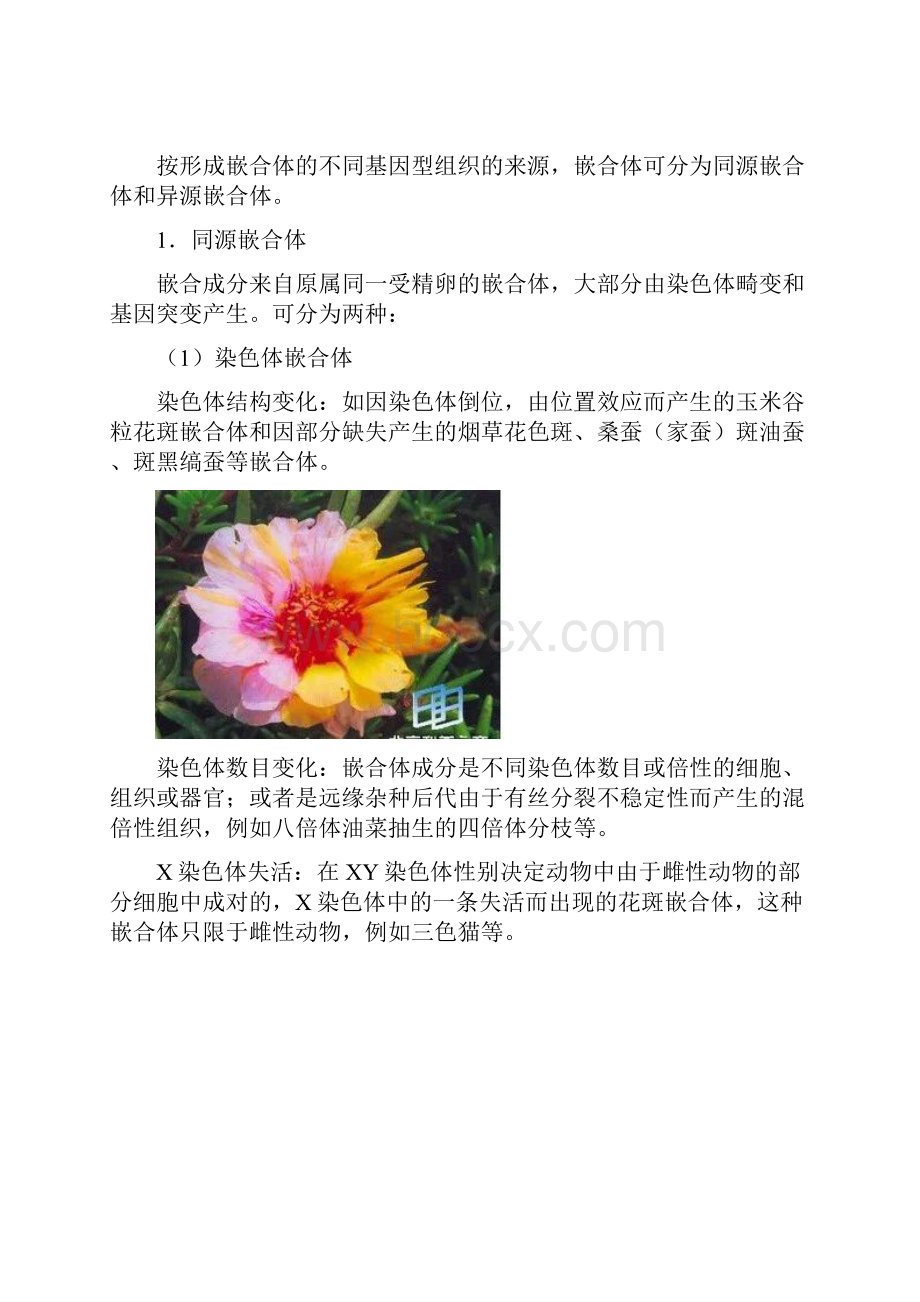 释疑自然界中丰富多彩的嵌合体Word文档下载推荐.docx_第3页