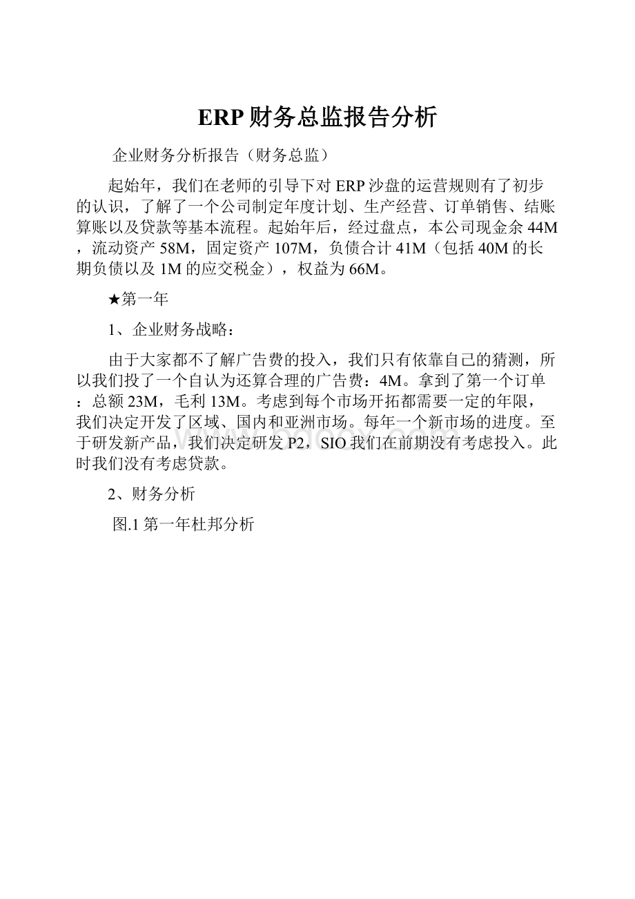 ERP财务总监报告分析.docx_第1页