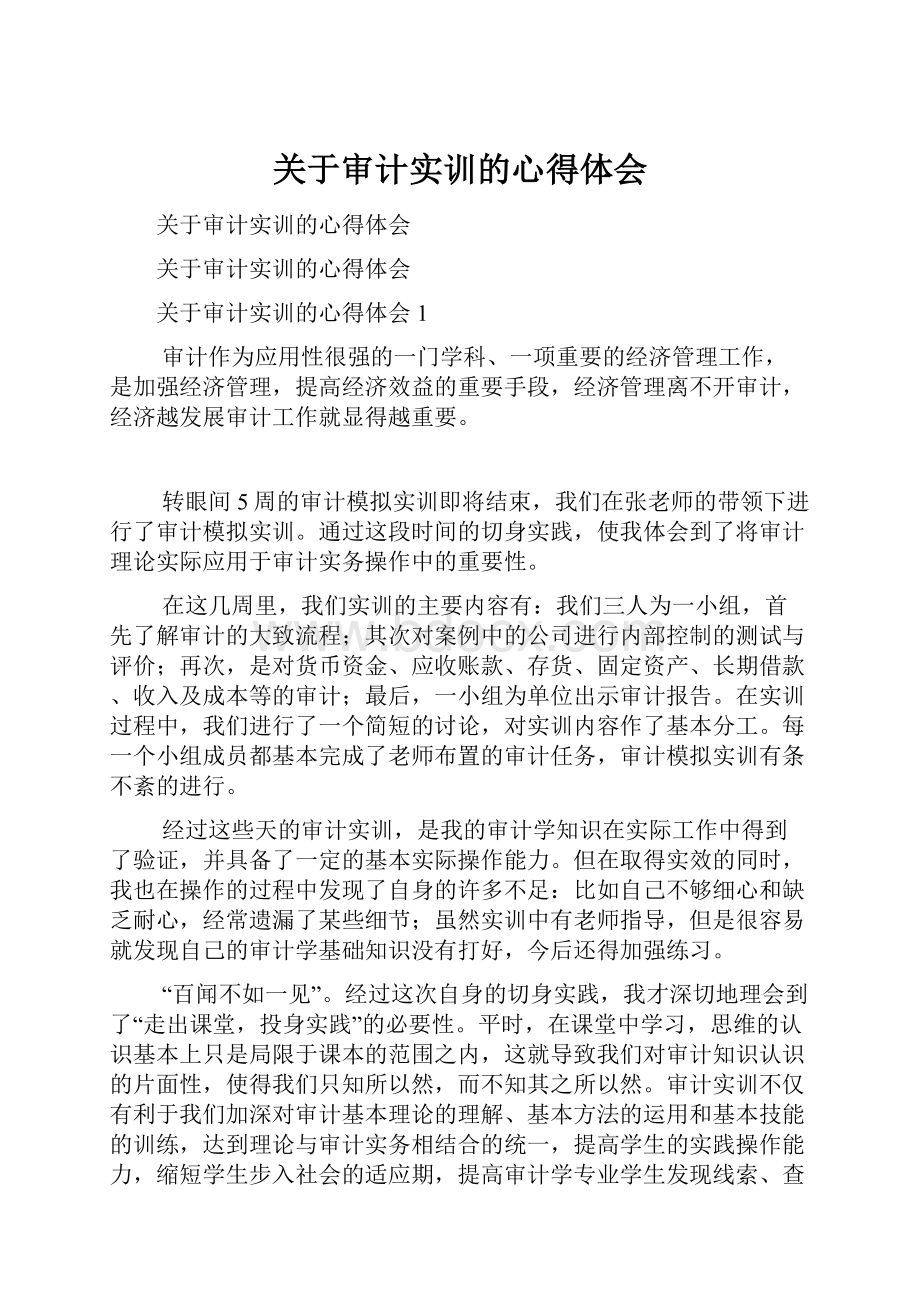 关于审计实训的心得体会.docx