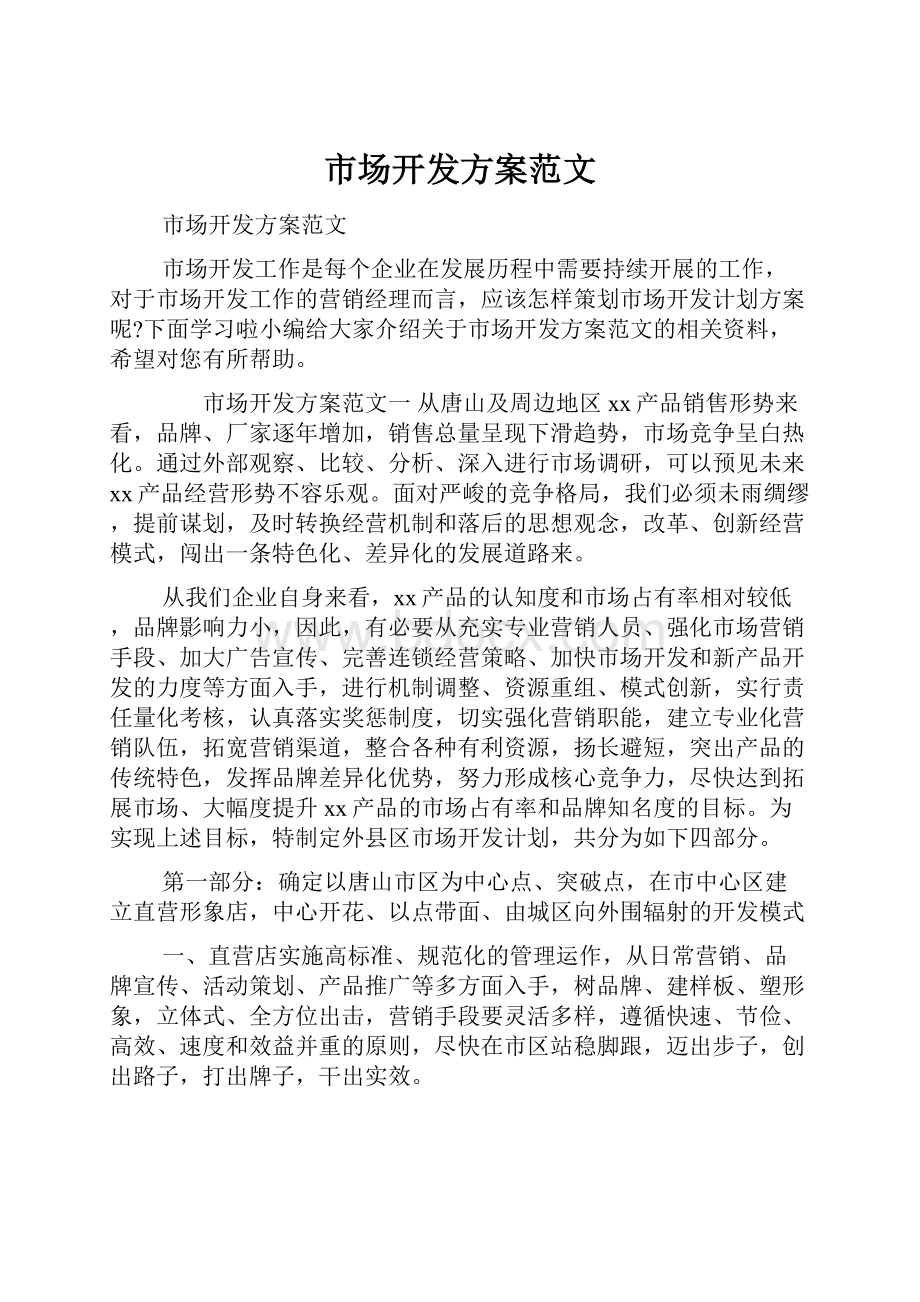 市场开发方案范文文档格式.docx