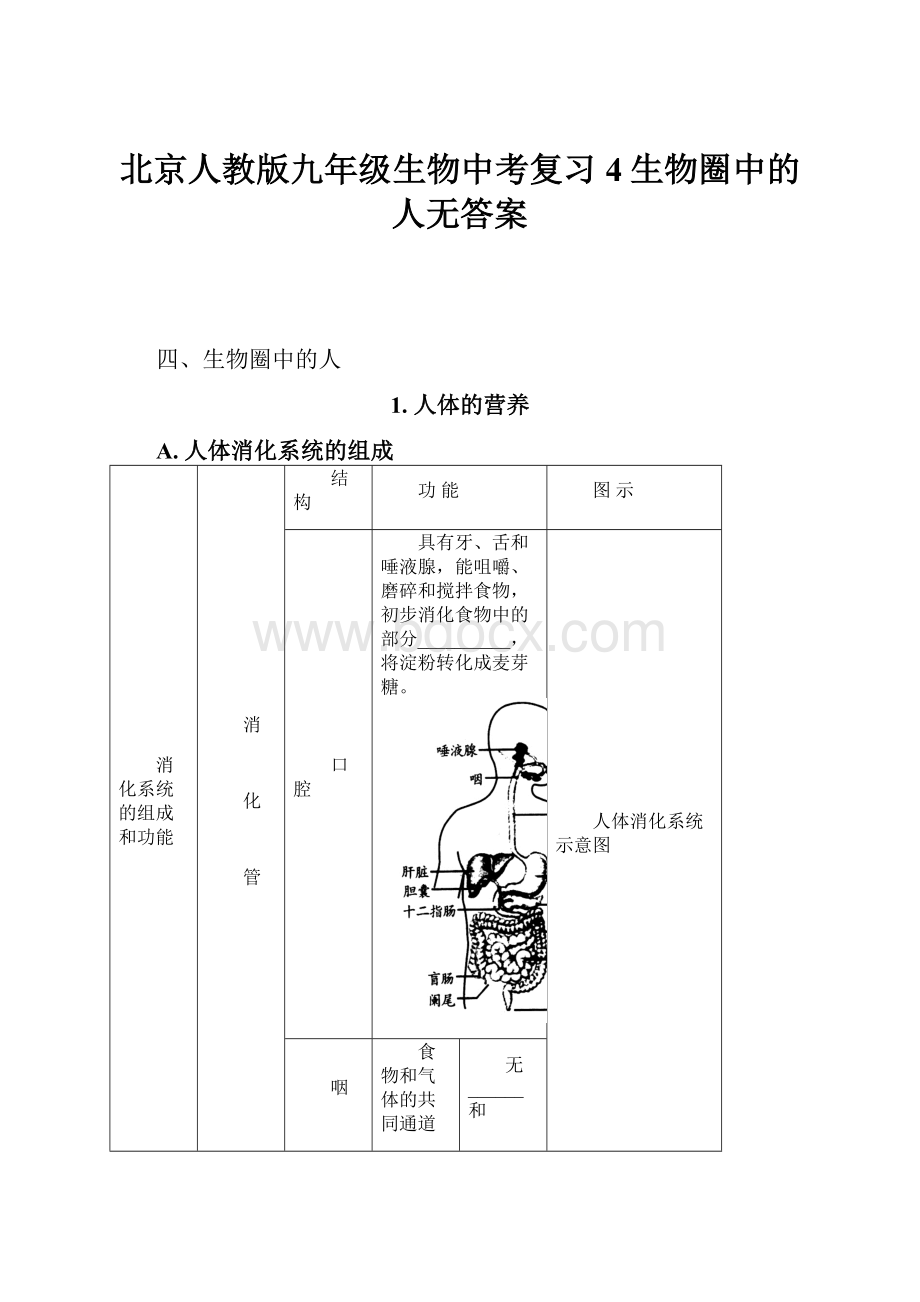 北京人教版九年级生物中考复习4生物圈中的人无答案文档格式.docx_第1页