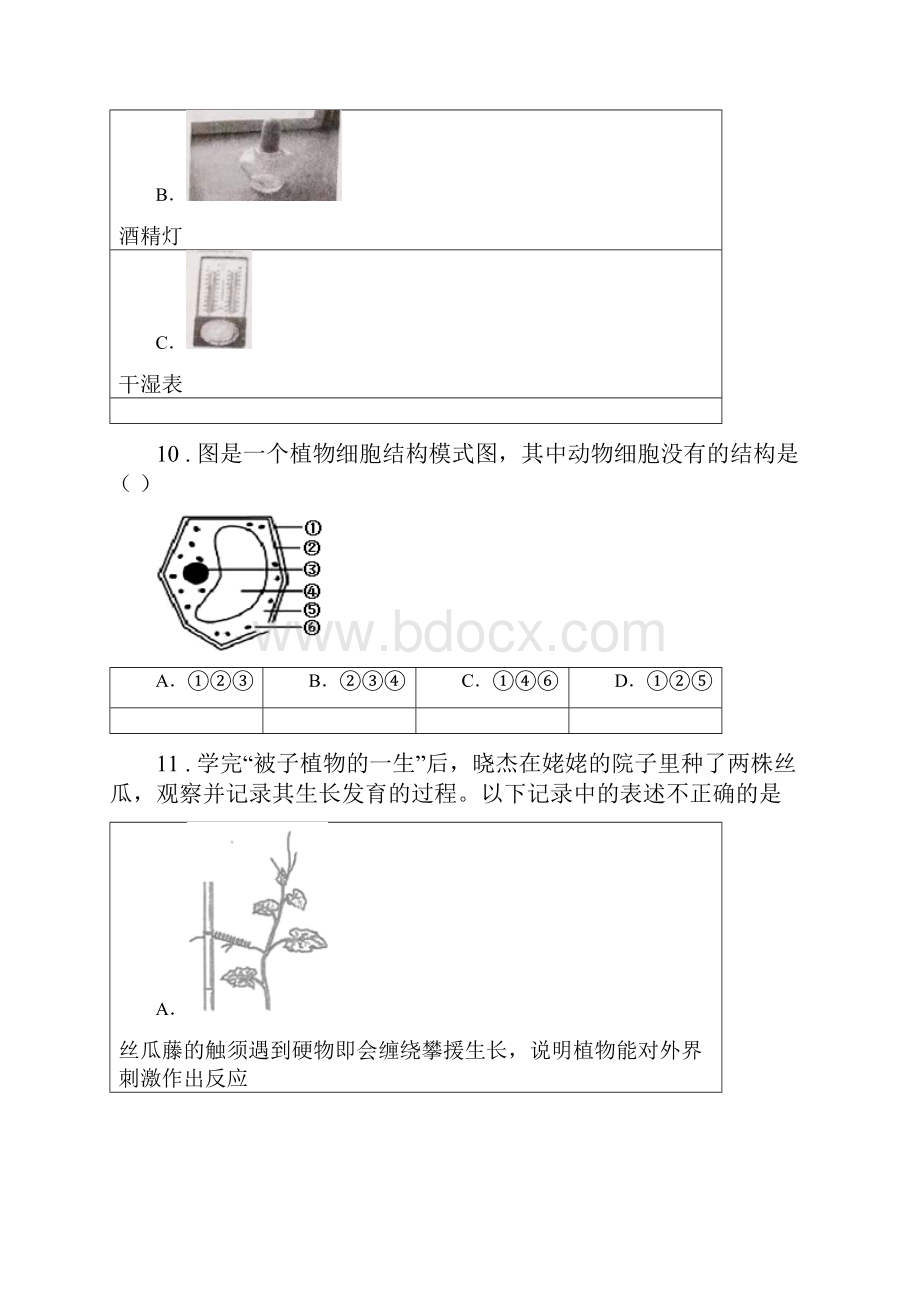 新人教版七年级上学期期末生物试题新编.docx_第3页