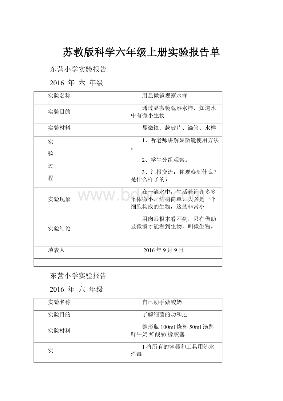 苏教版科学六年级上册实验报告单.docx_第1页