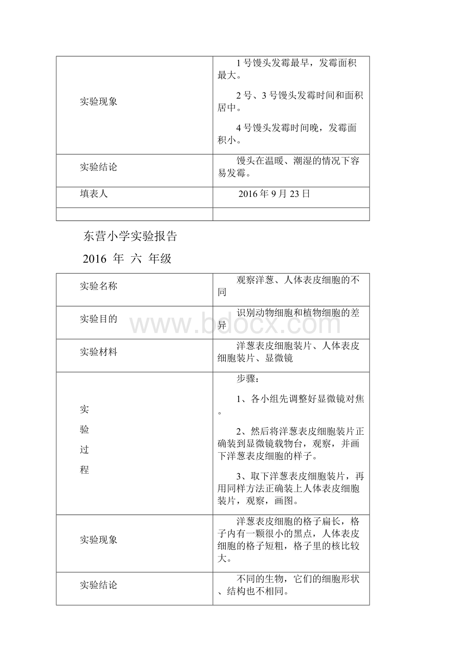 苏教版科学六年级上册实验报告单.docx_第3页