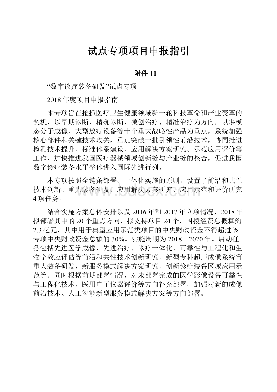 试点专项项目申报指引.docx