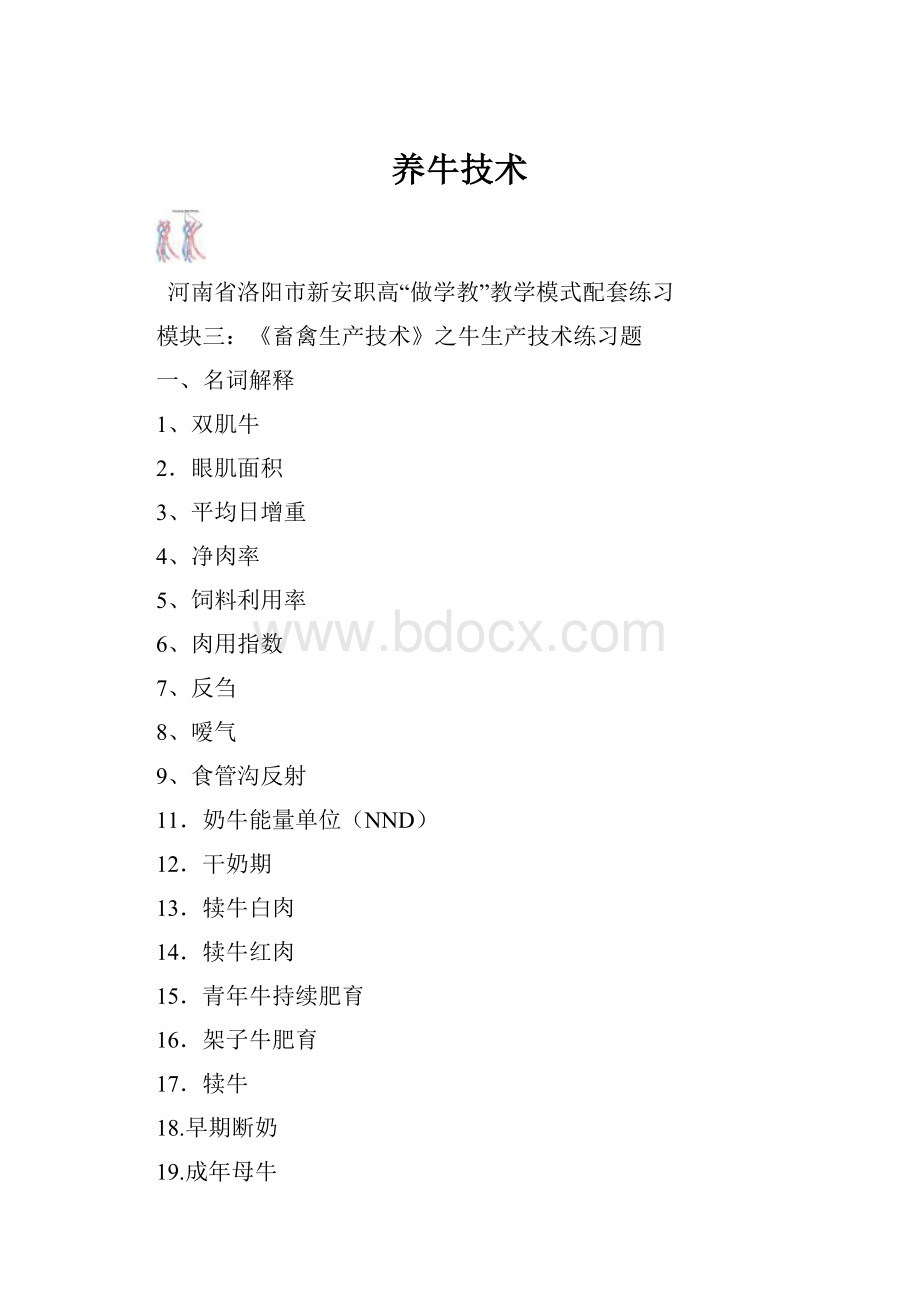 养牛技术文档格式.docx