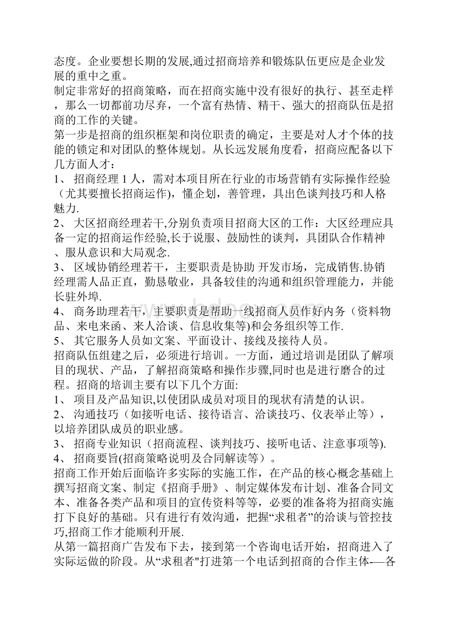 商业招商策划书呕心沥血整理版.docx_第2页