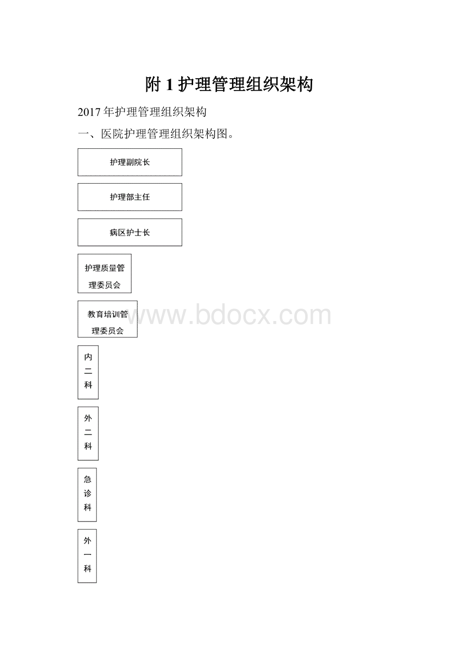 附1护理管理组织架构Word文件下载.docx