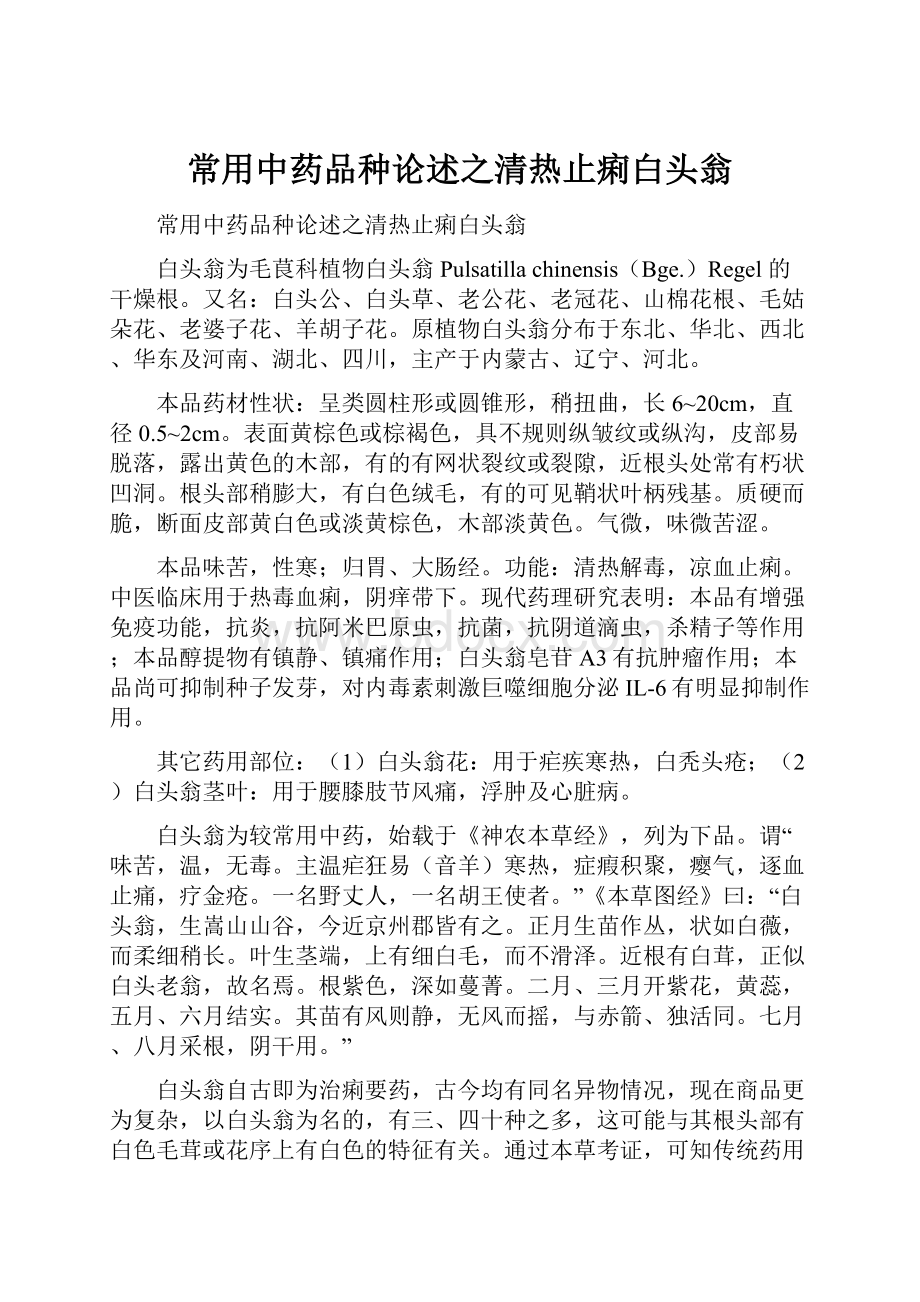 常用中药品种论述之清热止痢白头翁Word文档格式.docx