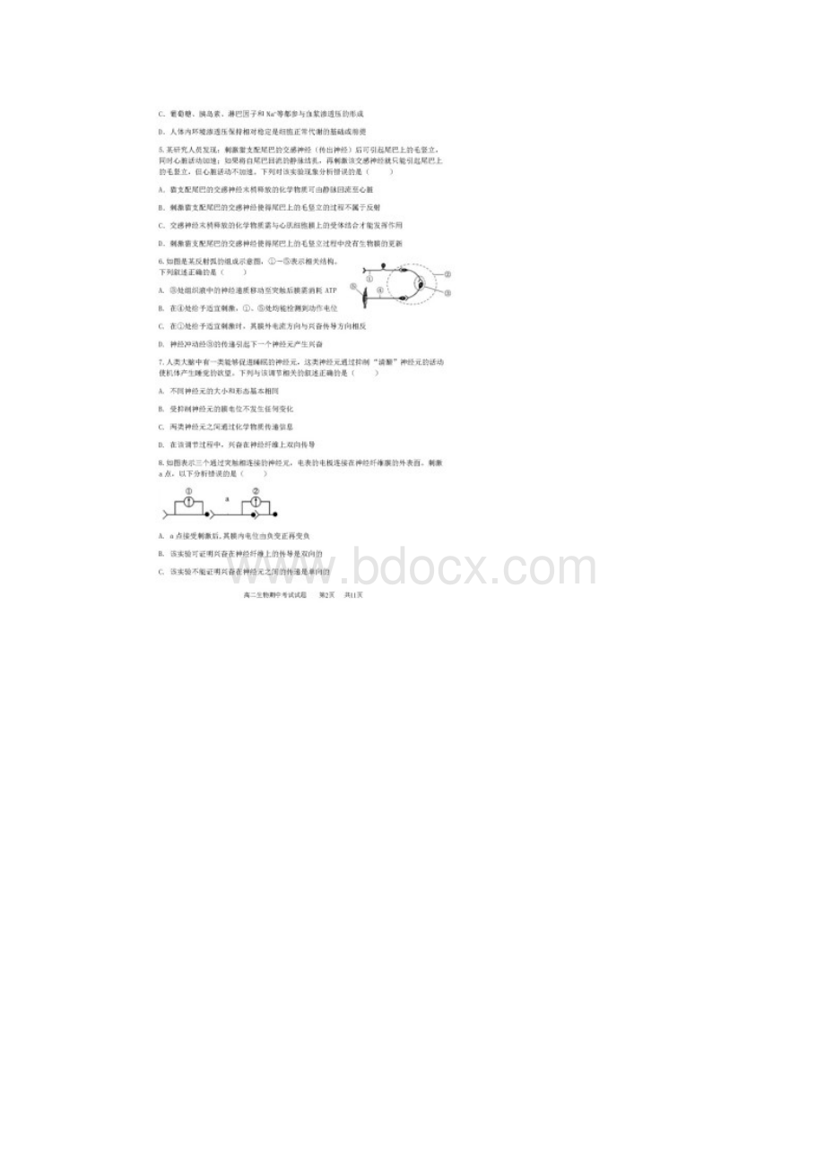 安徽省合肥市高二生物上学期期中试题宏志班扫描版.docx_第2页