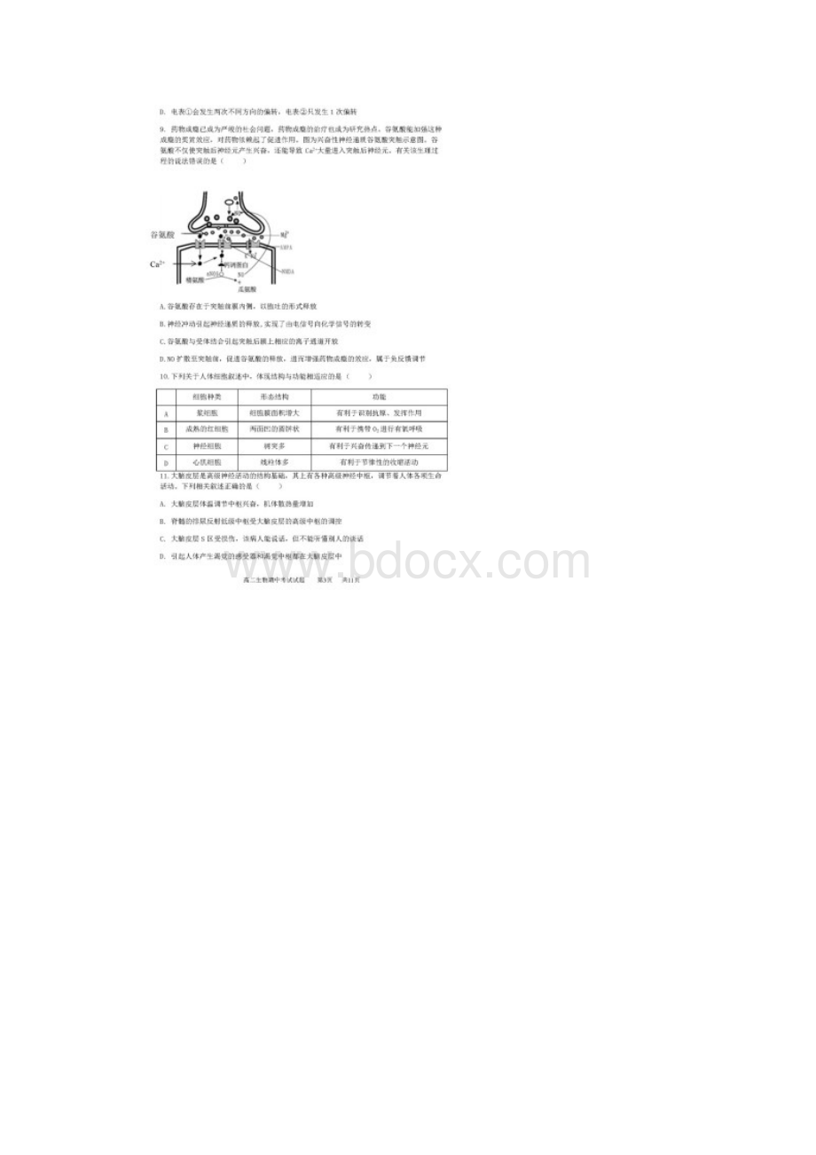 安徽省合肥市高二生物上学期期中试题宏志班扫描版.docx_第3页