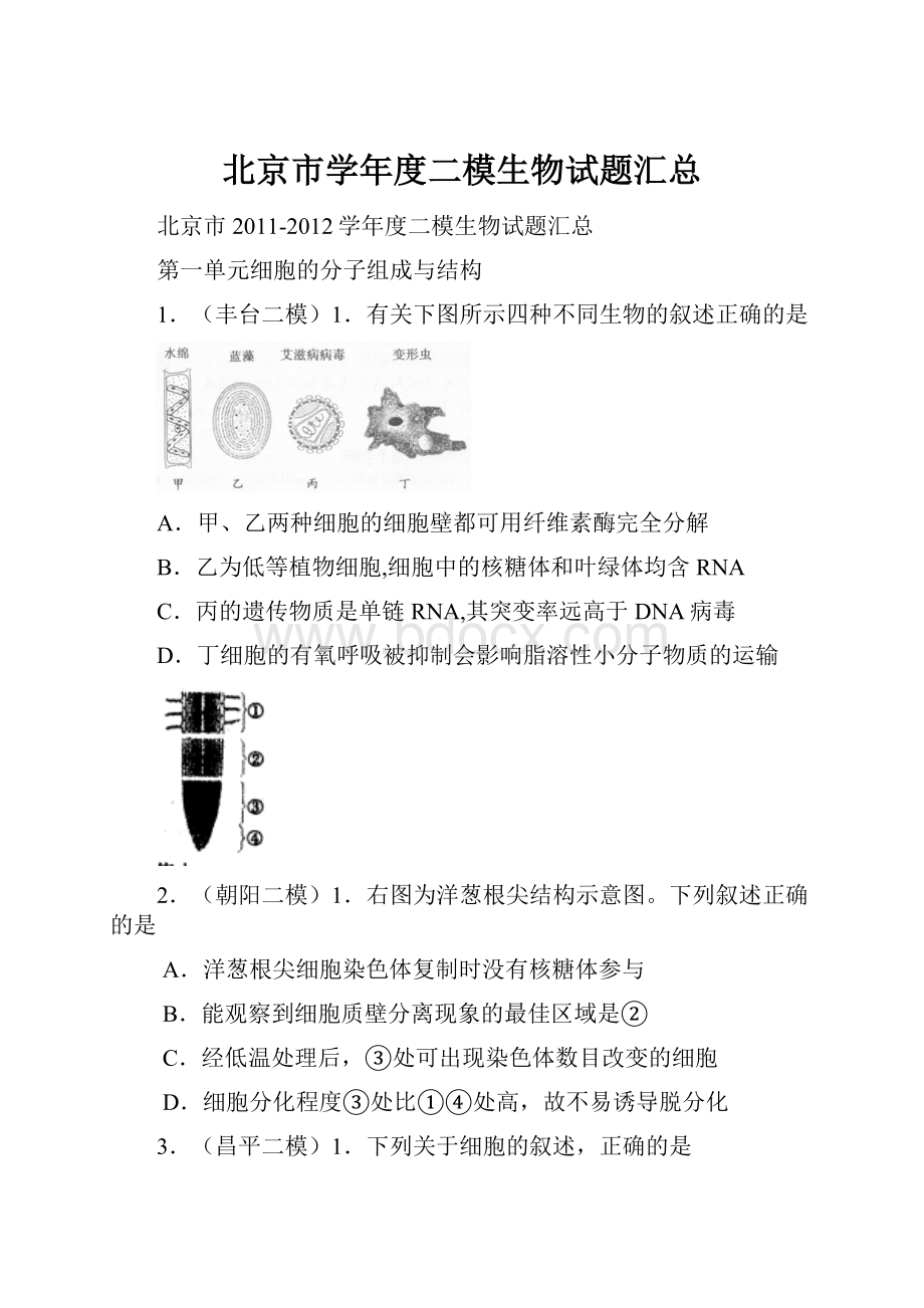 北京市学年度二模生物试题汇总Word文件下载.docx