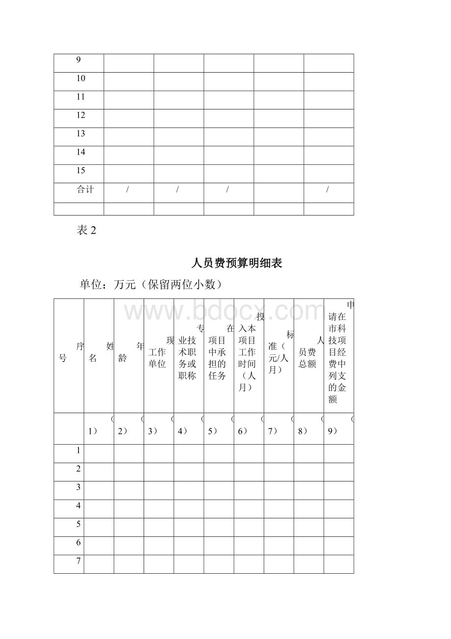 计划项目经费预算表.docx_第3页