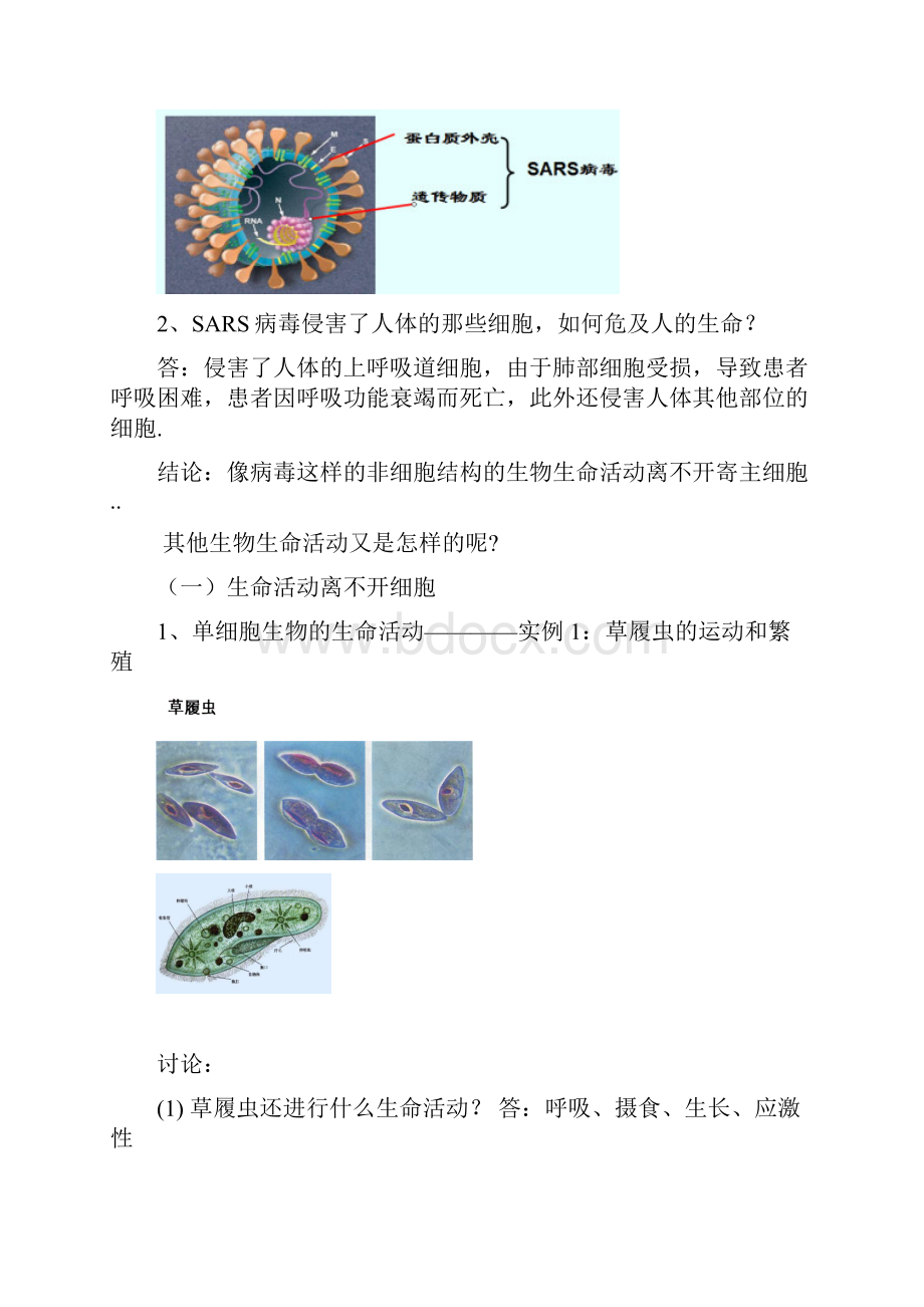 第1节从生物圈到细胞教案学案.docx_第2页