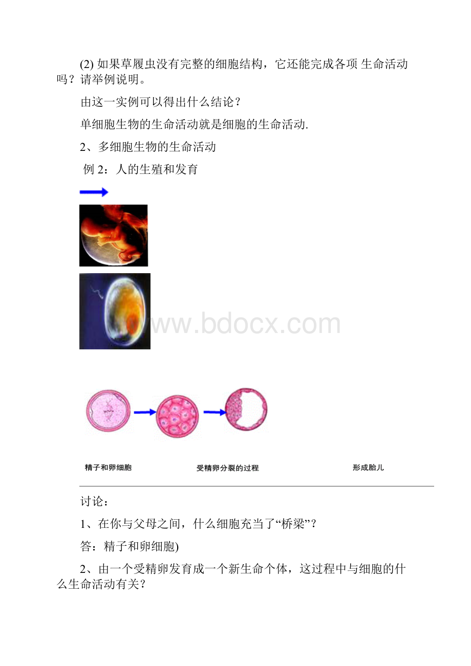 第1节从生物圈到细胞教案学案.docx_第3页