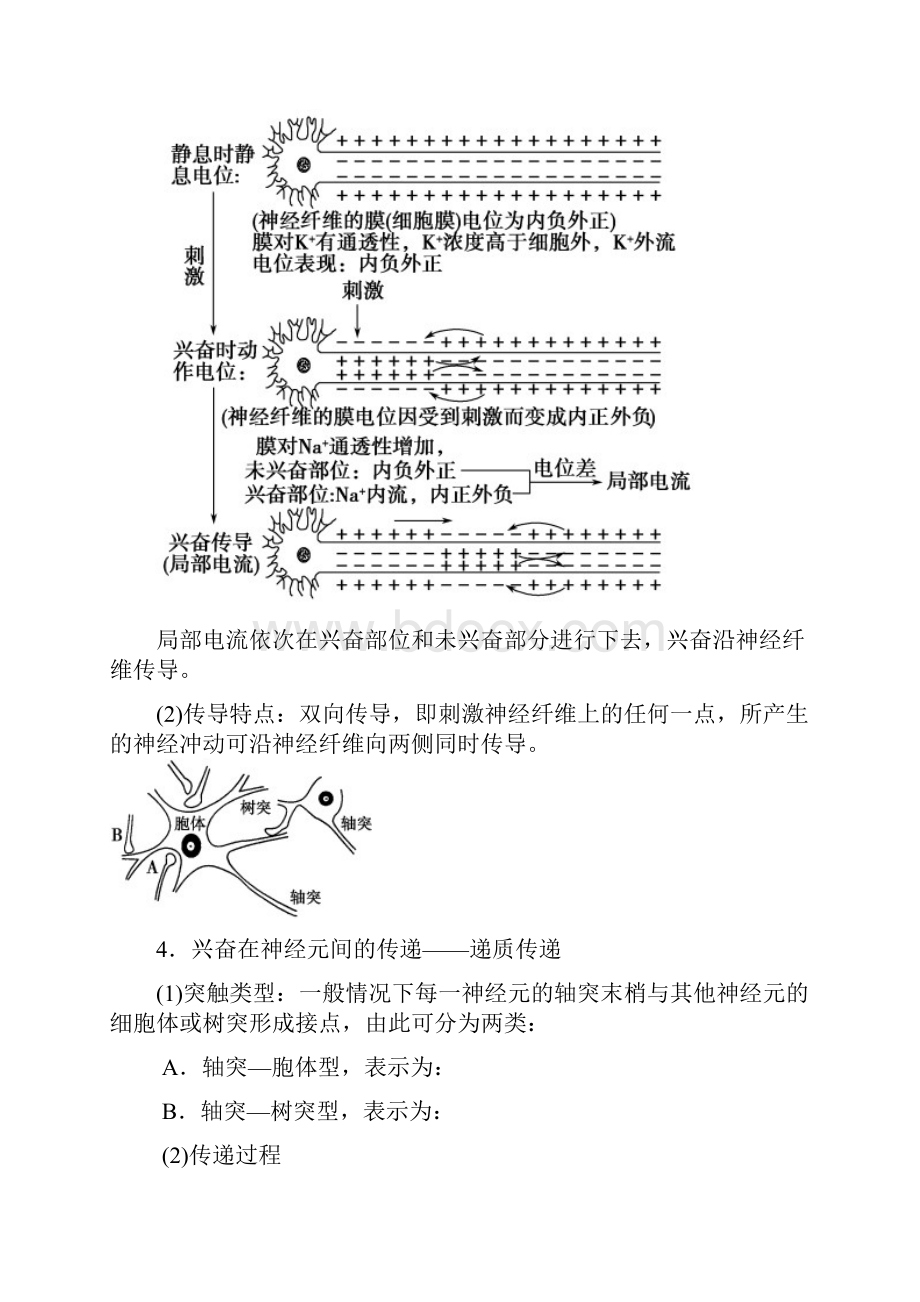 动物和人体生命活动的调节复习学案.docx_第3页