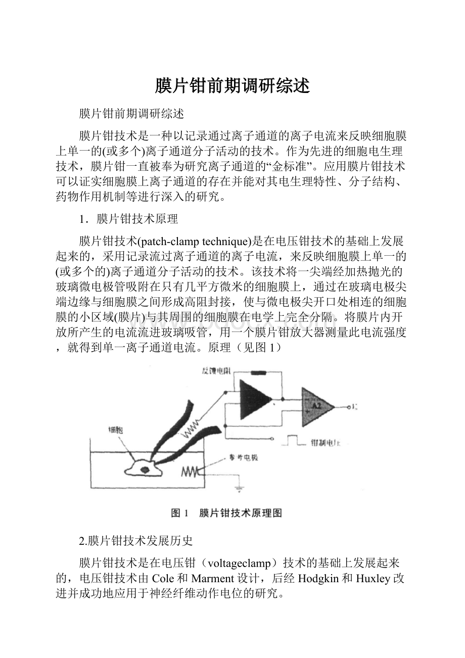 膜片钳前期调研综述.docx