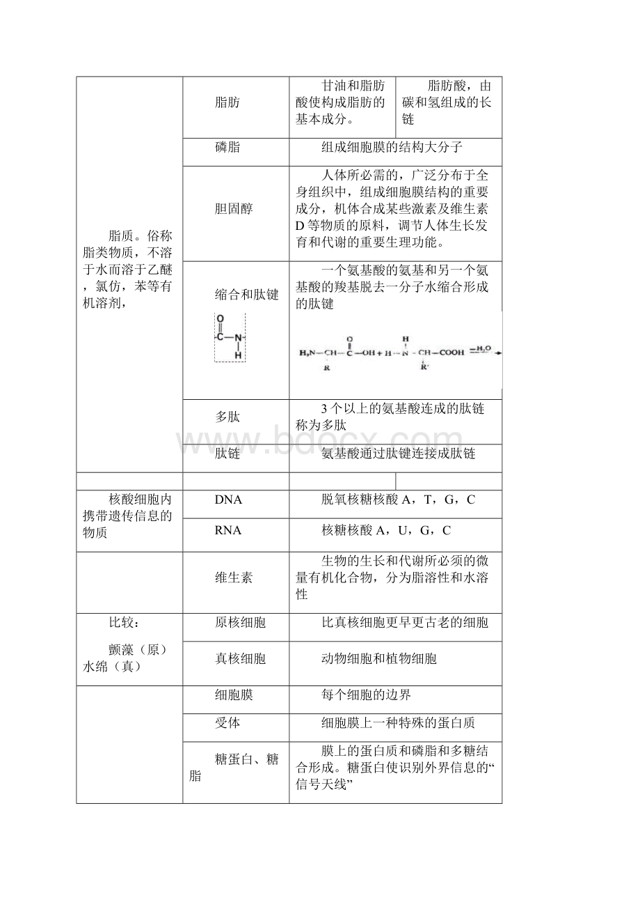 生物书本知识精讲Word格式.docx_第3页