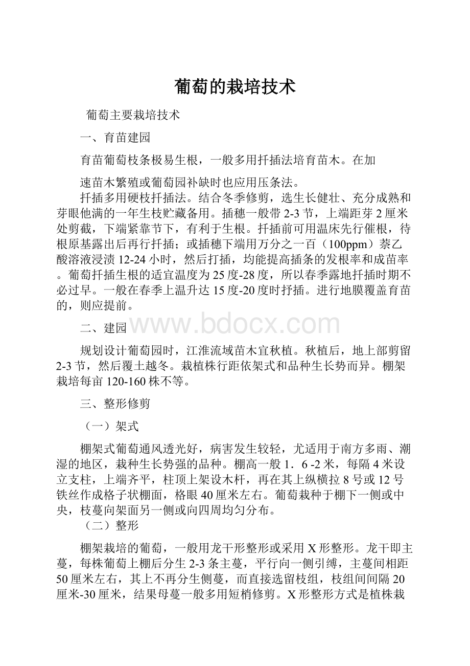 葡萄的栽培技术文档格式.docx