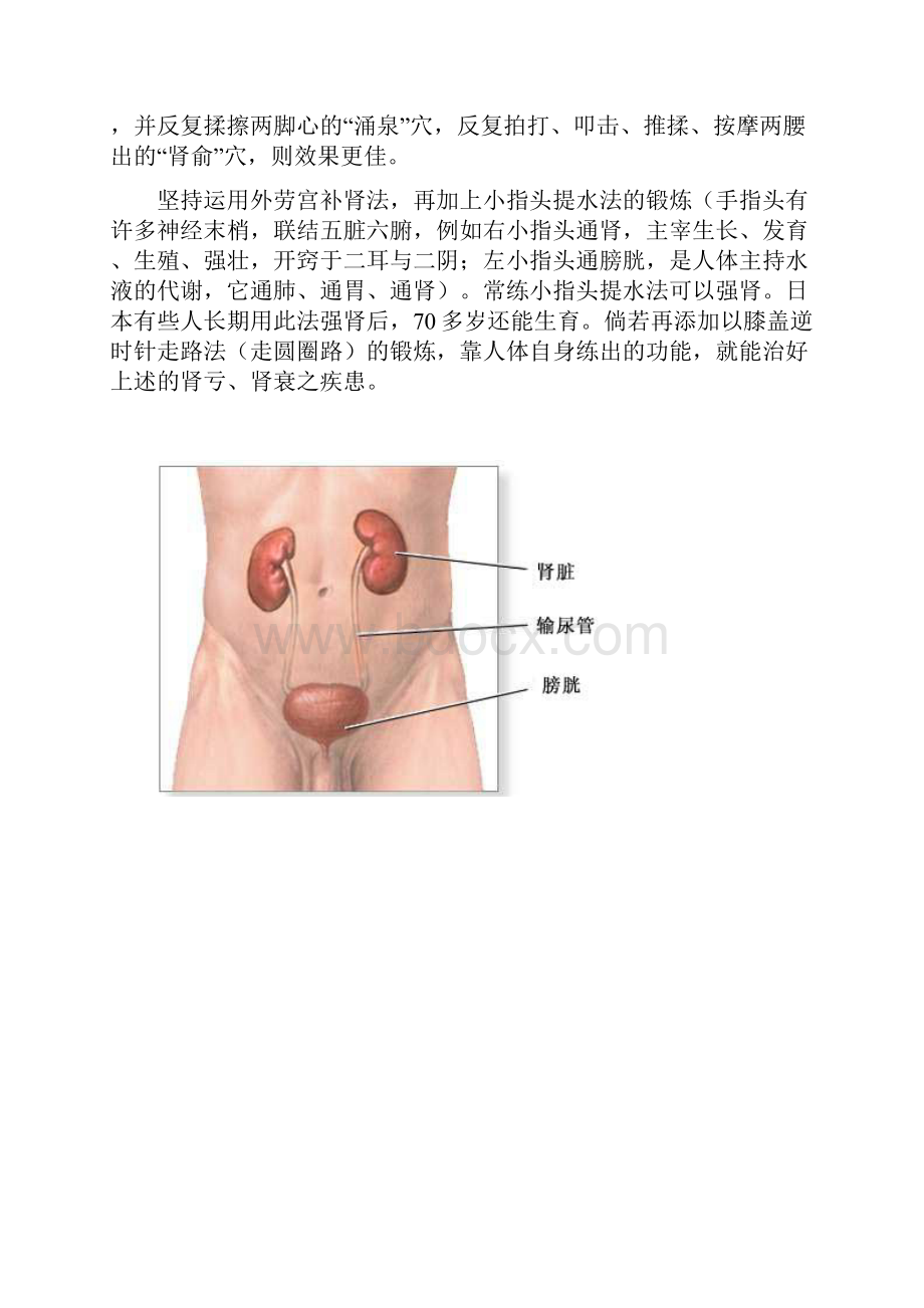 人体自身的神奇补肾法.docx_第2页