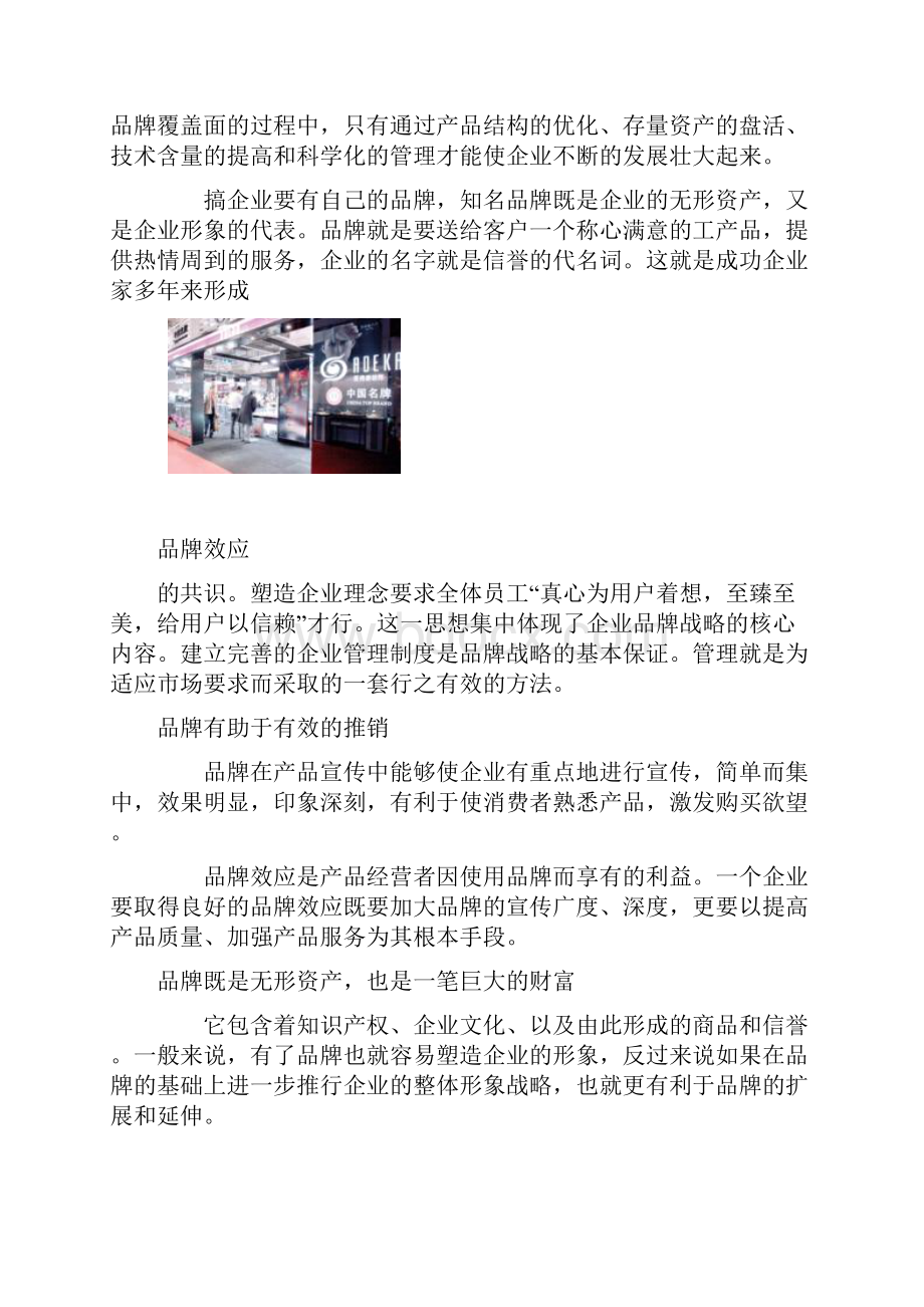 品牌效应Word文档下载推荐.docx_第2页