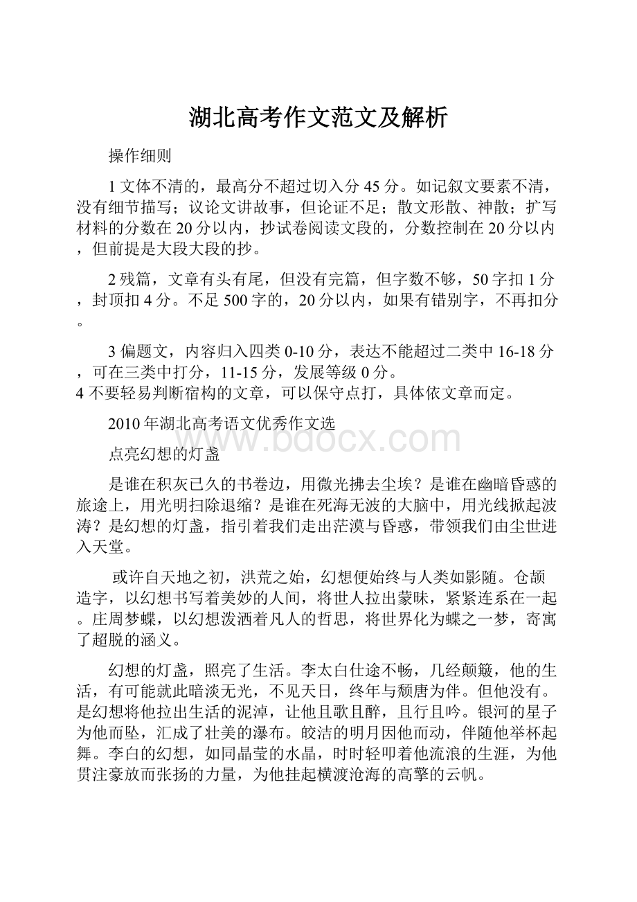 湖北高考作文范文及解析文档格式.docx